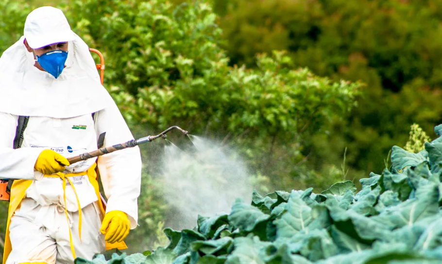 农药出口俄罗斯怎么办理认证