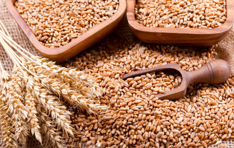 俄罗斯粮食认证如何办理