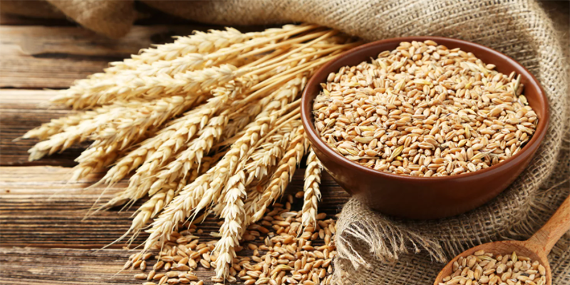 2011食品安全eac认证