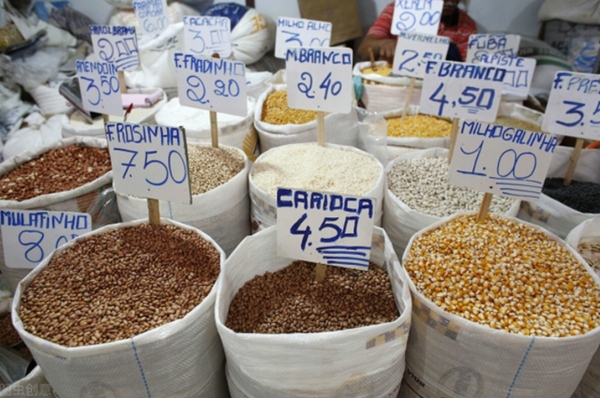 俄罗斯限制粮食出口，中国玉米价格会受到影响吗