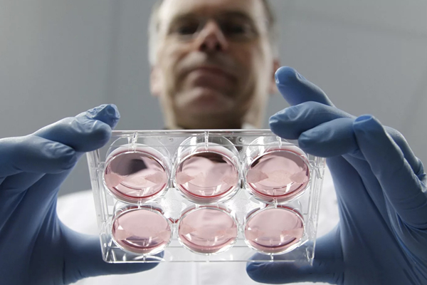 俄罗斯430法规新冠产品绿色通道注册包含的产品有哪些？