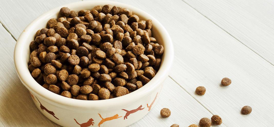 猫粮出口俄罗斯办理EAC认证流程