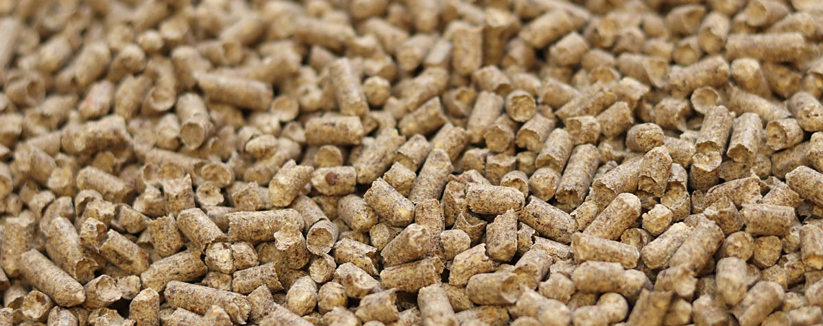 动物饲料出口俄罗斯办理EAC认证流程