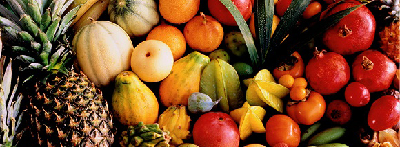 办理水果出口俄罗斯EAC认证的要点